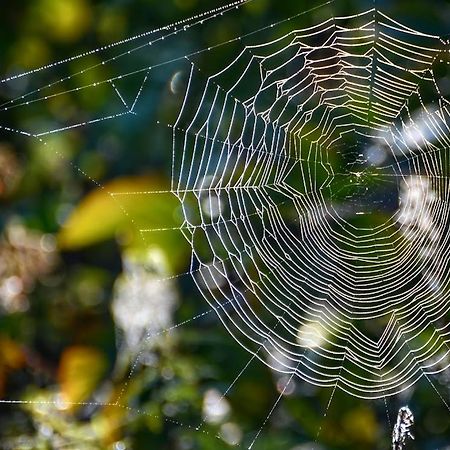 Gawra Gustawa Ustrzyki Dolne Exterior foto