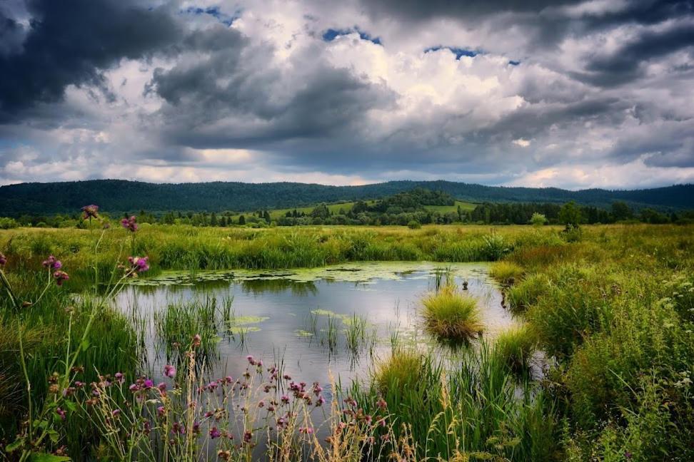 Gawra Gustawa Ustrzyki Dolne Exterior foto