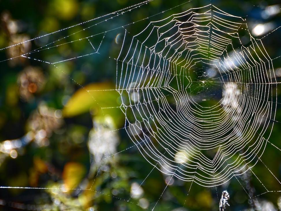 Gawra Gustawa Ustrzyki Dolne Exterior foto