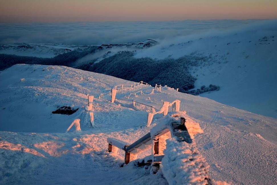 Gawra Gustawa Ustrzyki Dolne Exterior foto